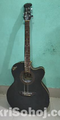 সিগনেচার গিটার